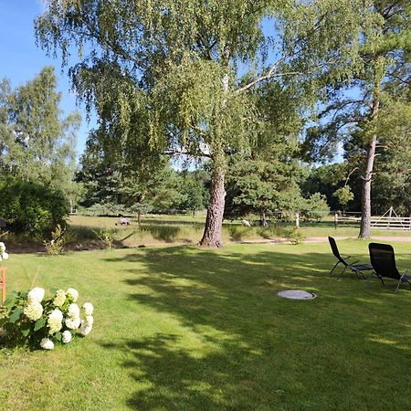 Forsthaus Zartwitzer Huette Lejlighed Rechlin Eksteriør billede